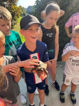 Kratkočasnice - Športne igre